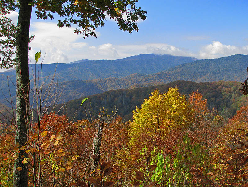 Newfound_Rd_overlook