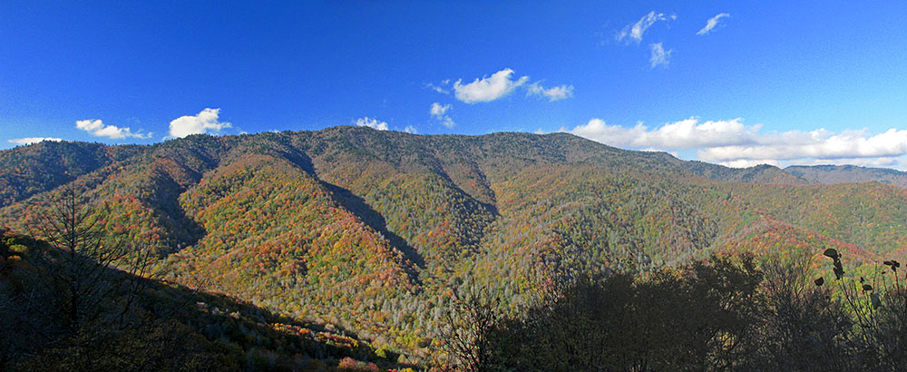 Oconaluftee_Valley