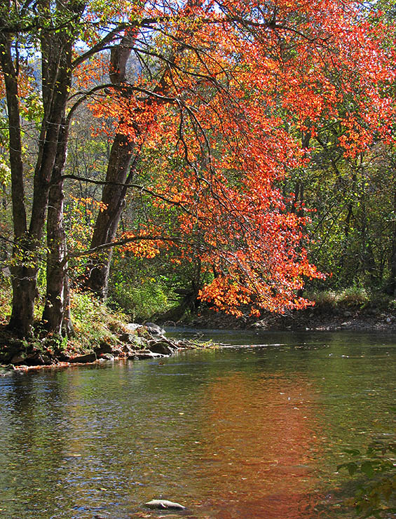 Oconaluftee_River