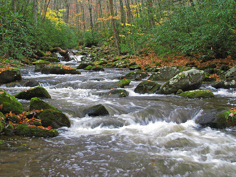 Oconaluftee_rapids