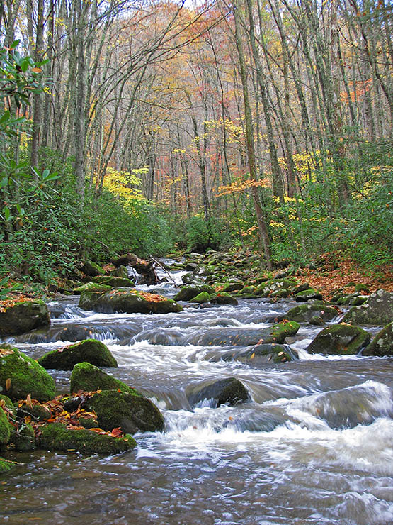 Oconaluftee_River