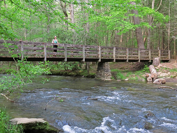 Abrams_Creek_bridge