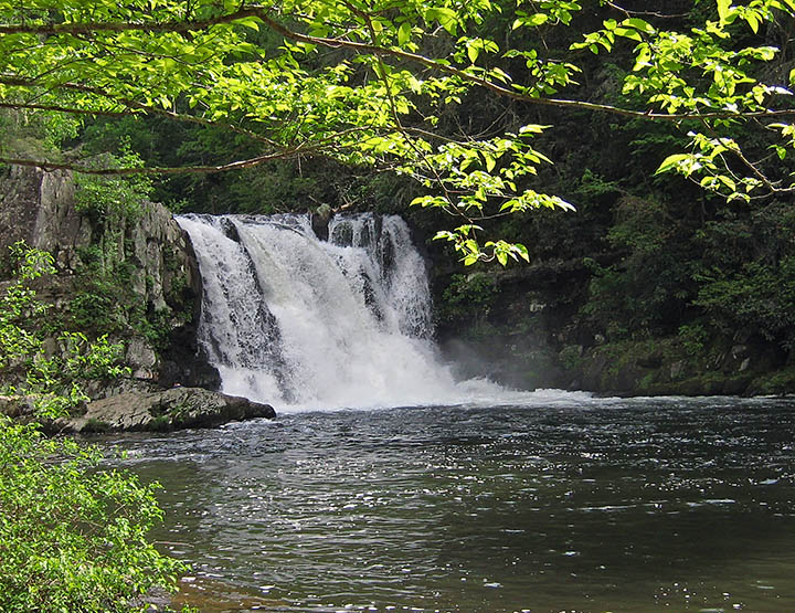 Abrams_Falls