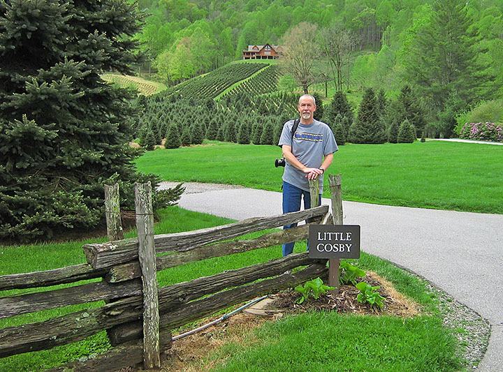 Cabin_driveway