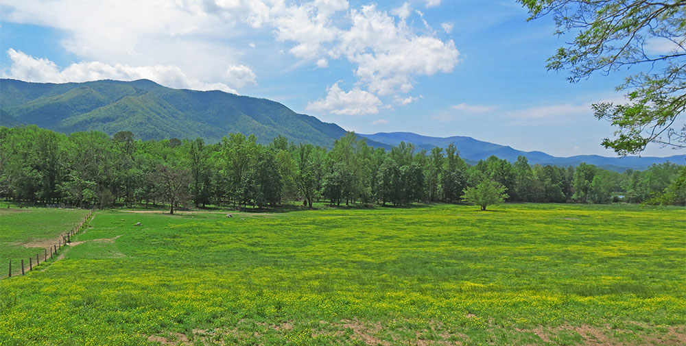 Cades_Cove