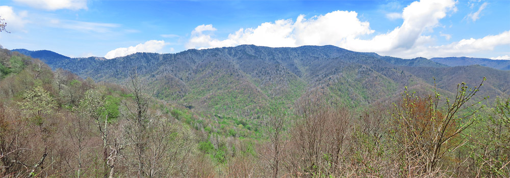 Oconaluftee_Valley