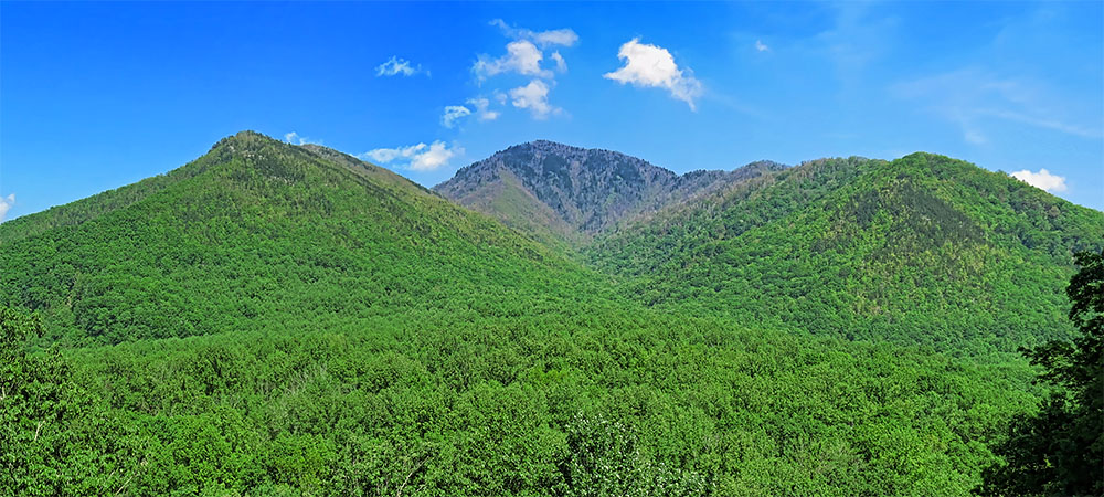 Campbell_Overlook