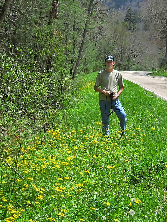 Roadside_flowers