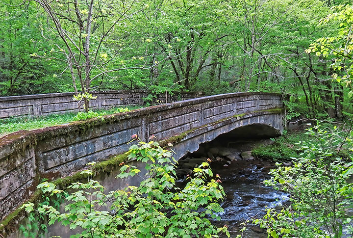 Bradley_Fork_bridge