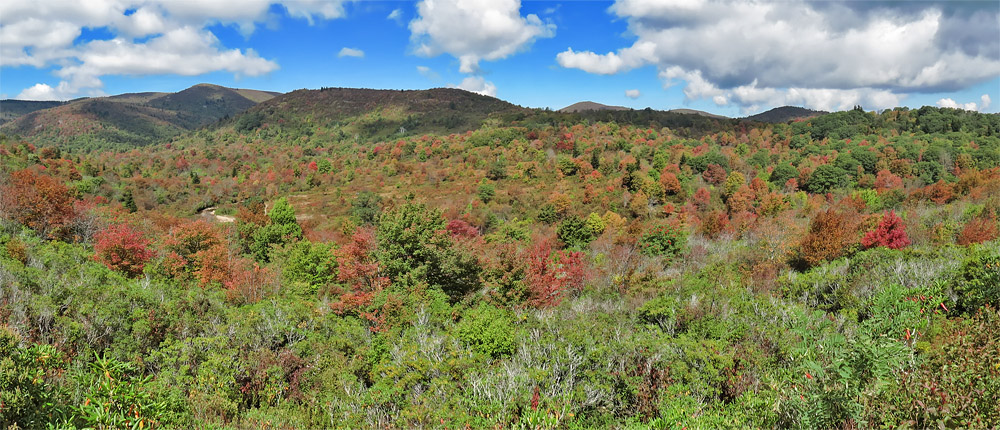 Graveyard_Fields