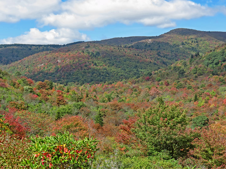 Graveyard_Fields