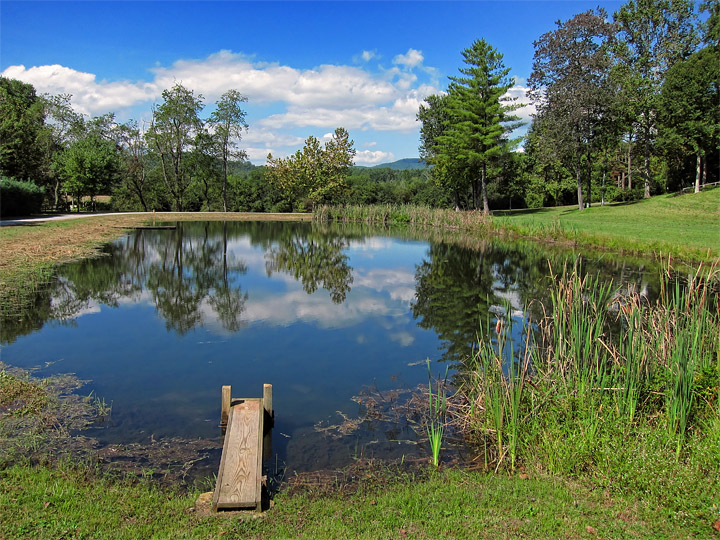 Pond