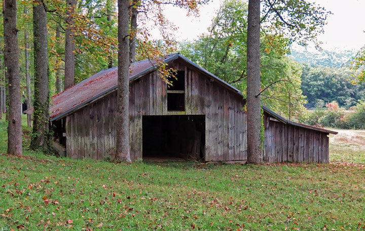 Barn