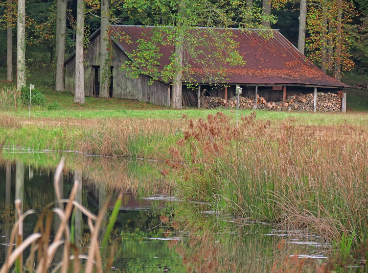 Pond_Barn