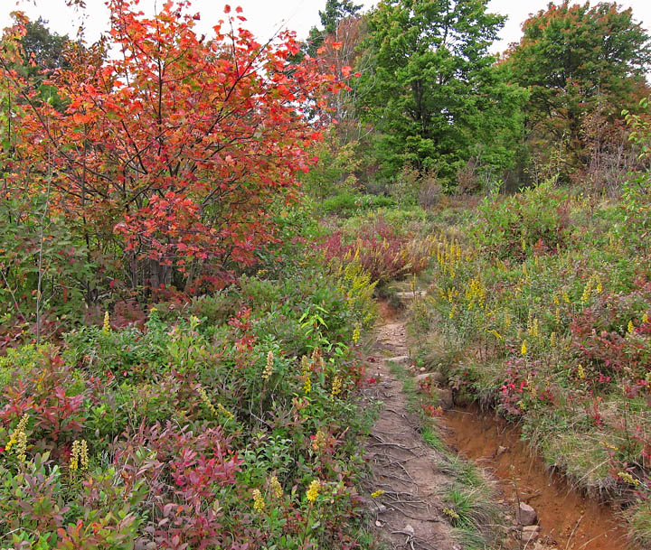 Graveyard_Fields