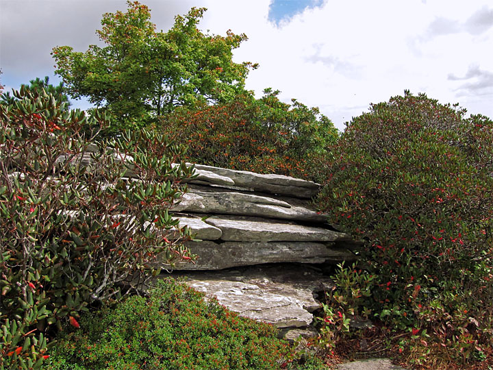 Hawksbill_Ledge_heath