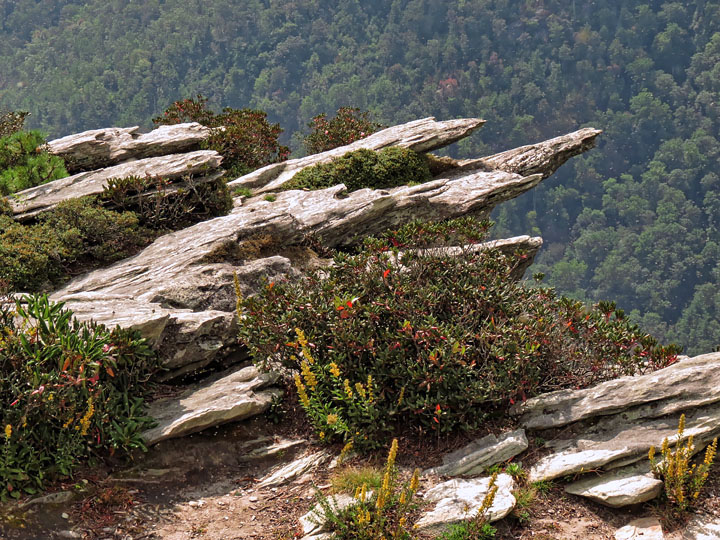 Hawksbill_crags