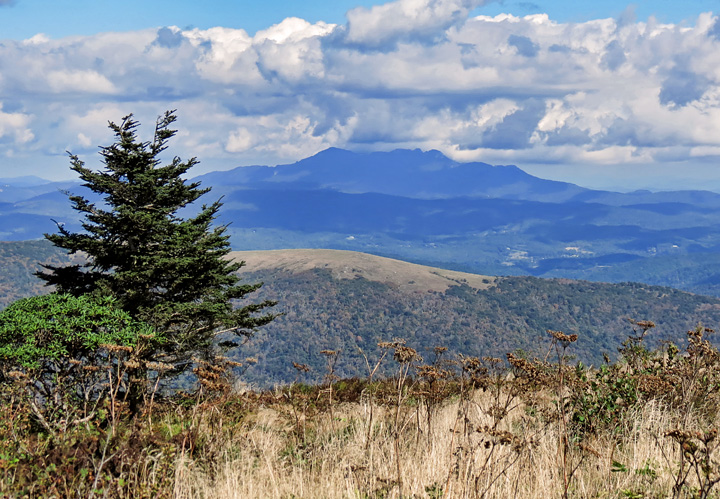 Grandfather_Mtn