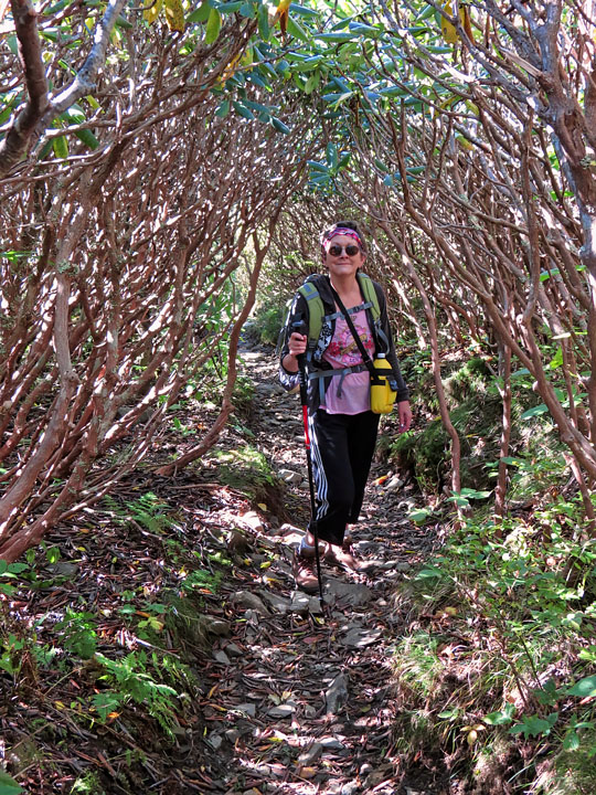 Rhodie_Tunnel