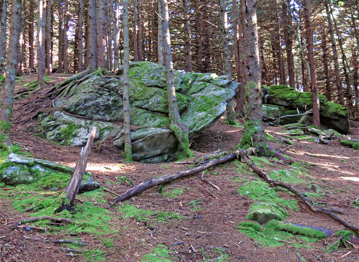 Rocks_woods