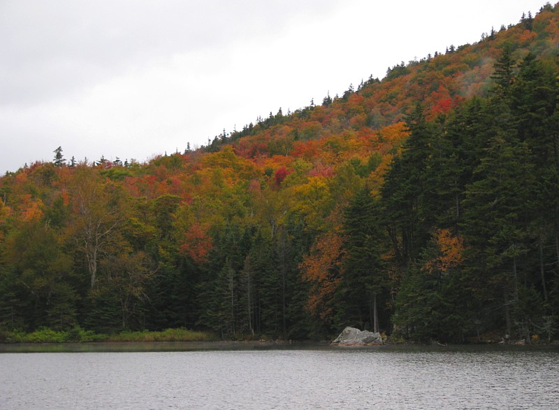 Saco_Pond