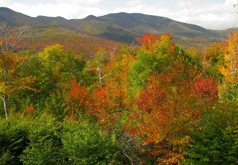 Hwy_foliage_view