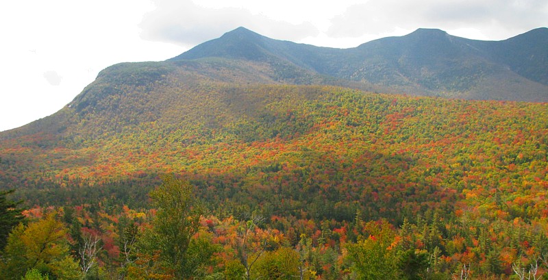 Kanc_foliage_view