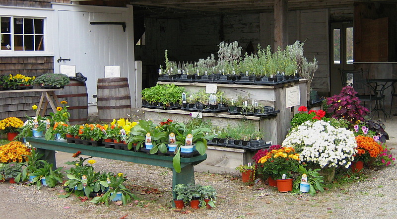 Garden_shop