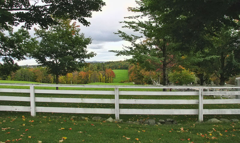 Pasture_view