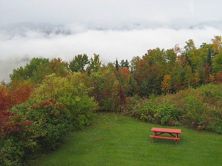 Picnic_area