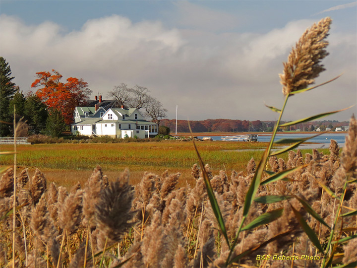 Robbins_Island