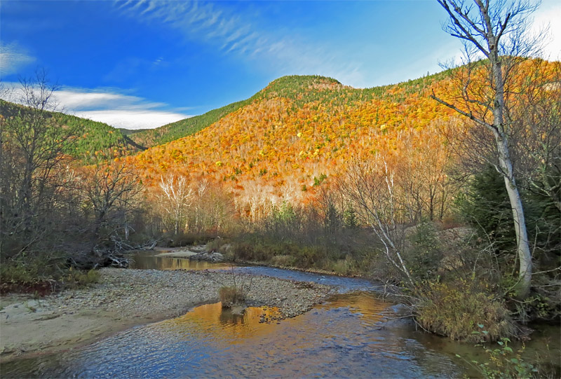 Crawford_Notch_hillside