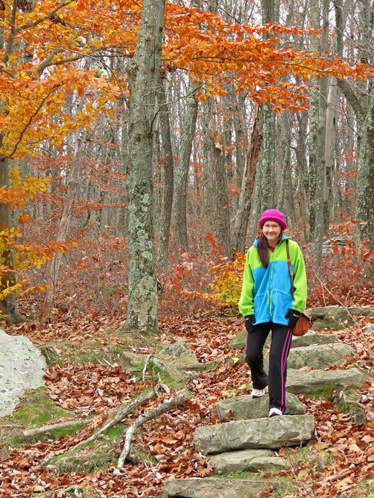 Woods_trail-E