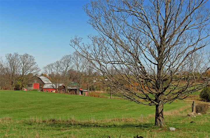 Brownington_farm