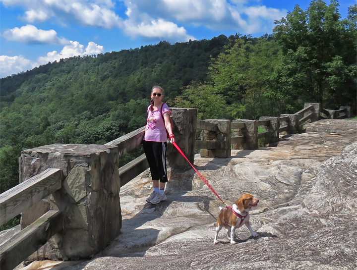 Black_Rock_overlook