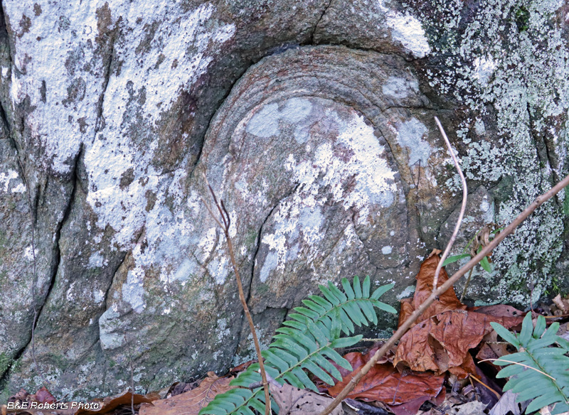 Circular_folded_rock