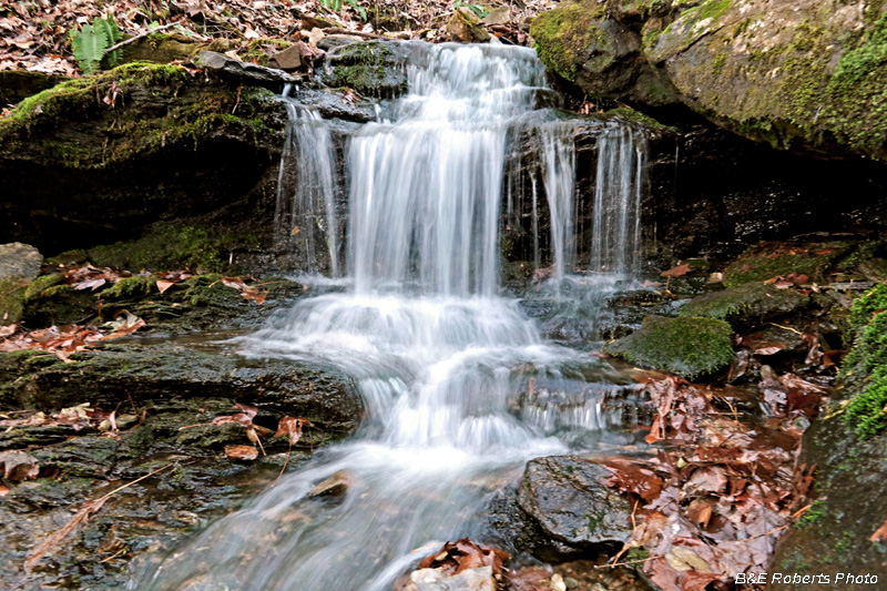 Cascades