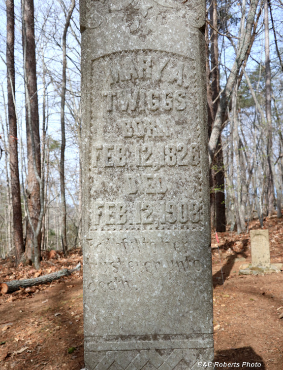 Twiggs_Gravestone