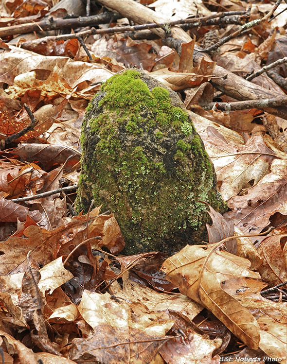 Fieldstone_grave_marker