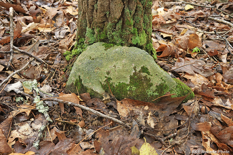 Fieldstone_grave_marker