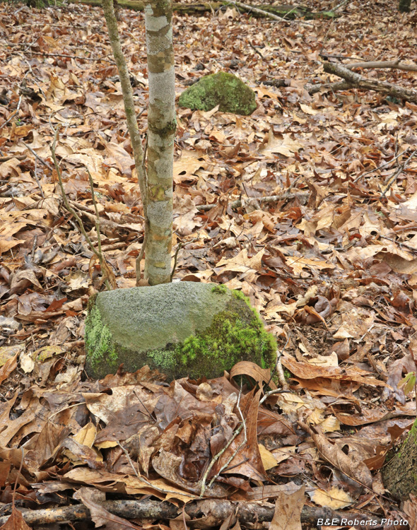 Fieldstone_grave_marker