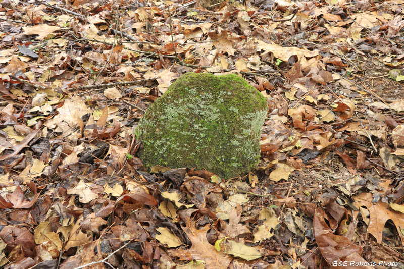 Fieldstone_grave_marker