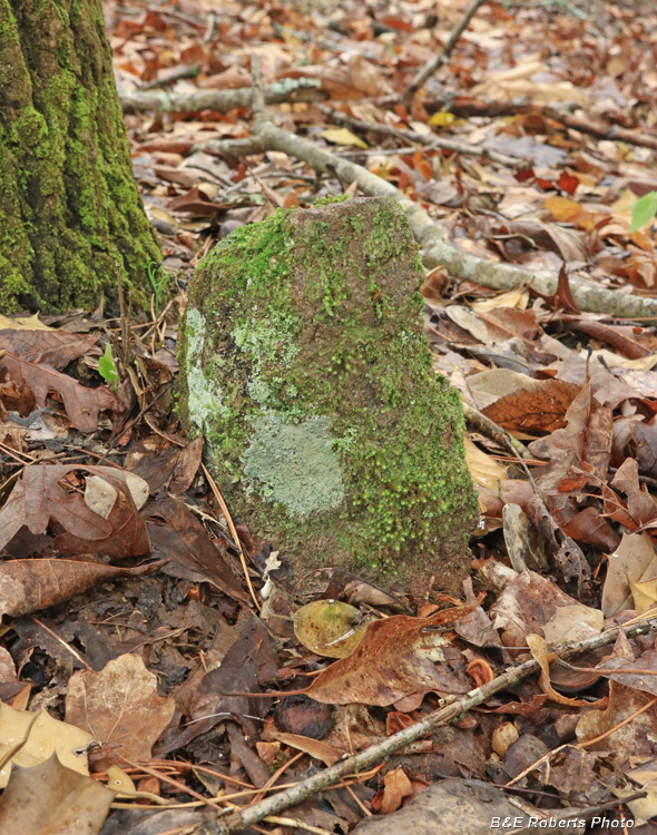 Fieldstone_grave_marker