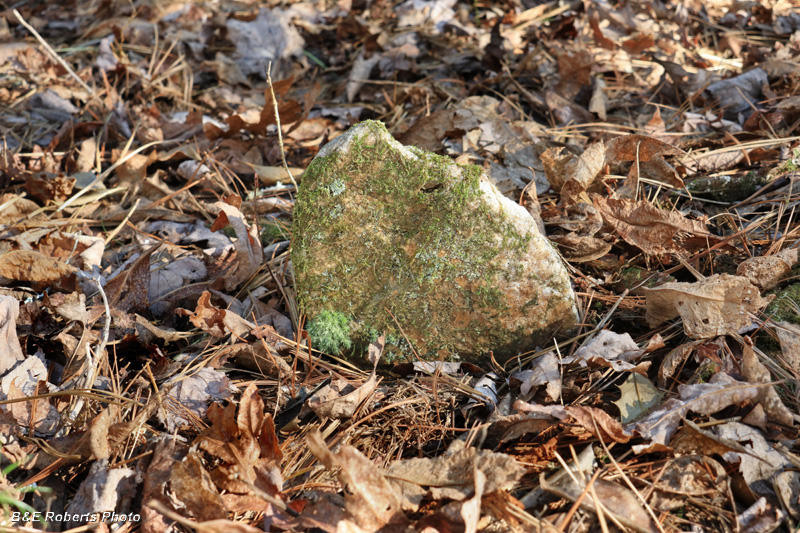 Gravestone