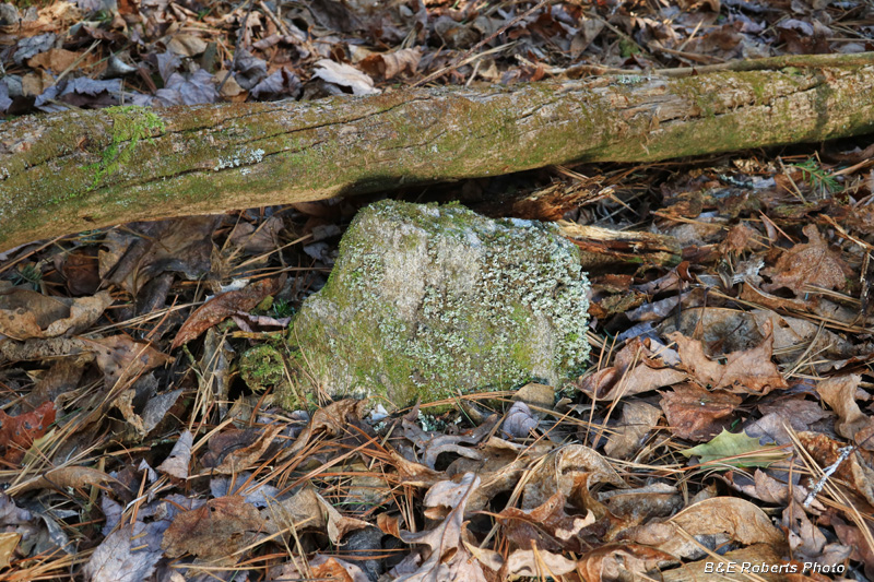 Gravestone