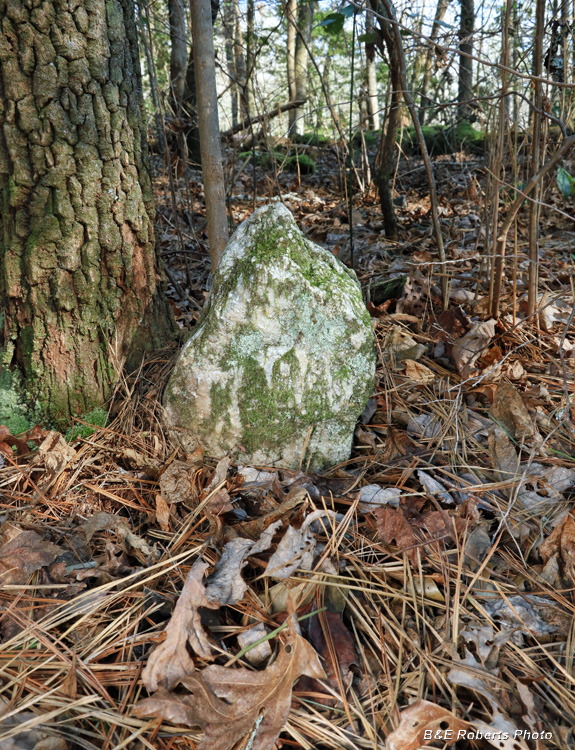 Gravestone