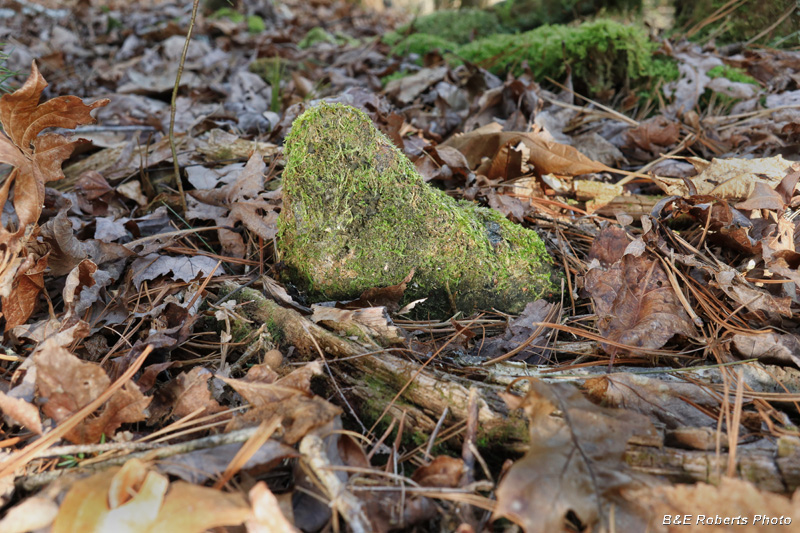 Gravestone