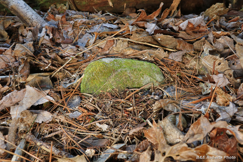 Gravestone