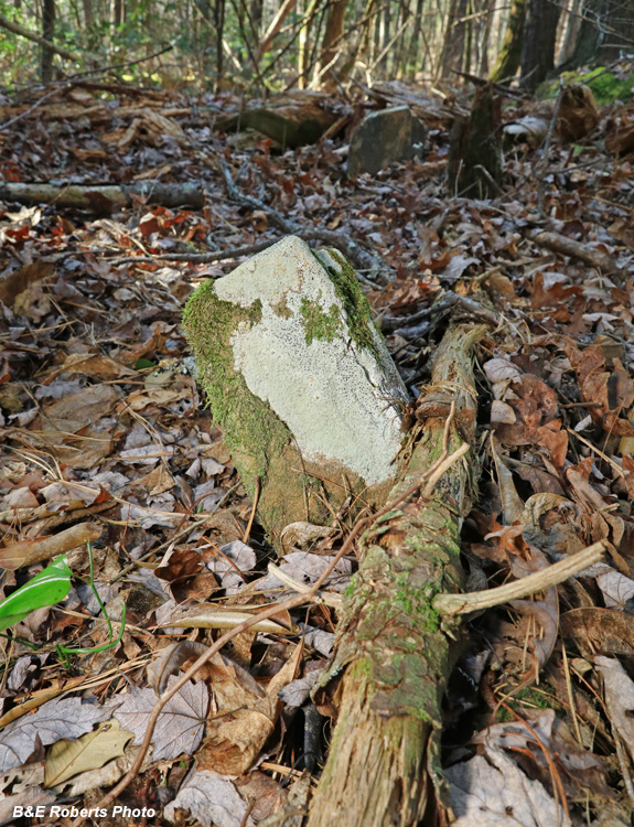 Gravestone