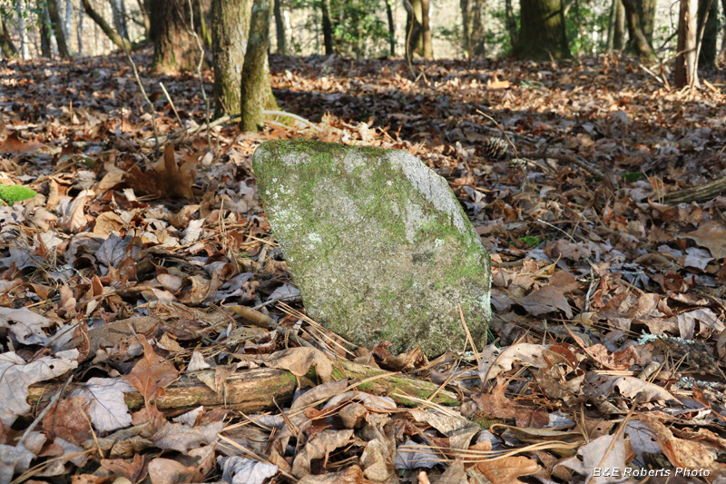 Gravestone